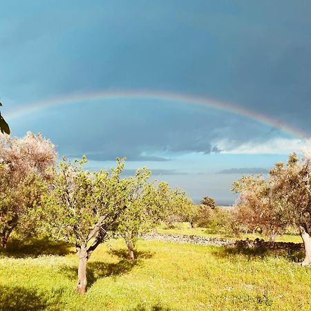 הוילה Serranova La Perla Di Torre Guaceto מראה חיצוני תמונה