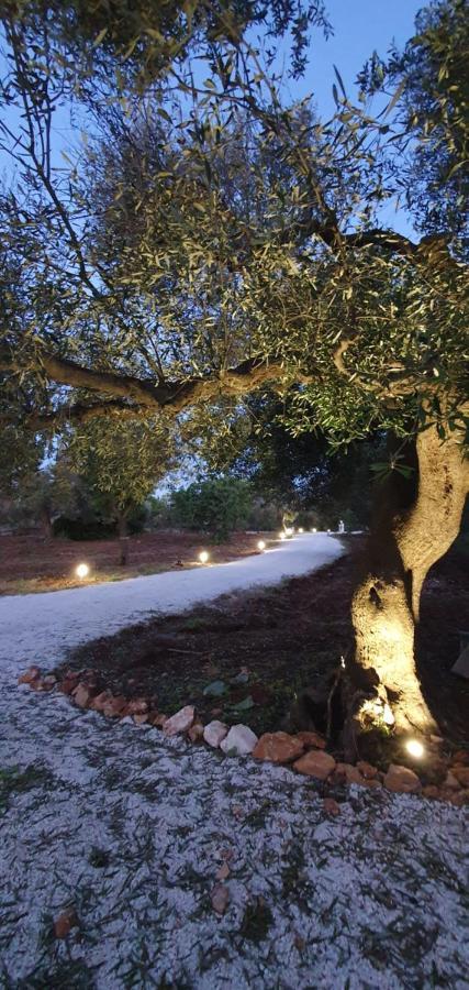 הוילה Serranova La Perla Di Torre Guaceto מראה חיצוני תמונה
