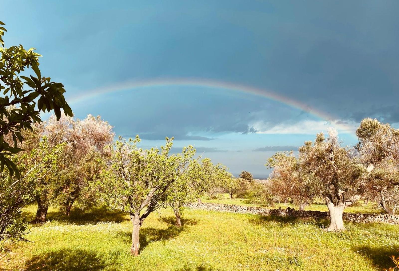 הוילה Serranova La Perla Di Torre Guaceto מראה חיצוני תמונה